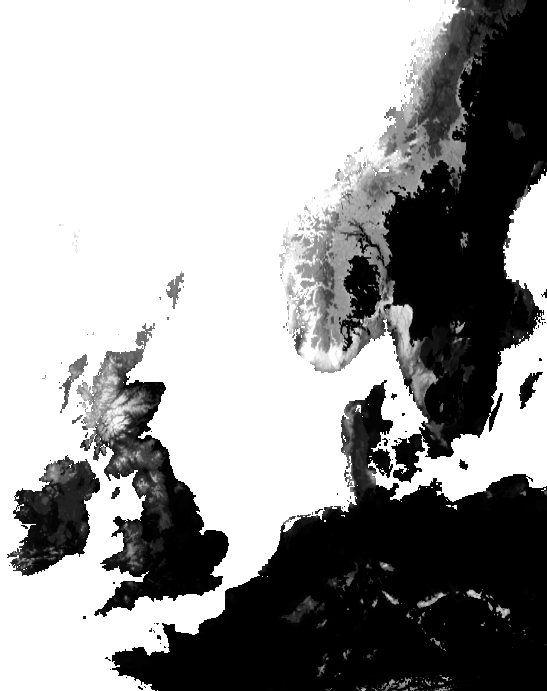 Entoloma coracis